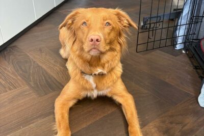 bauwerk Immobilien GmbH